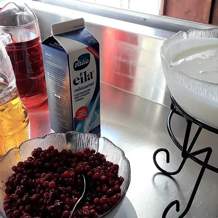 Kartanohostel Annacatharina Hostel Savonlinna