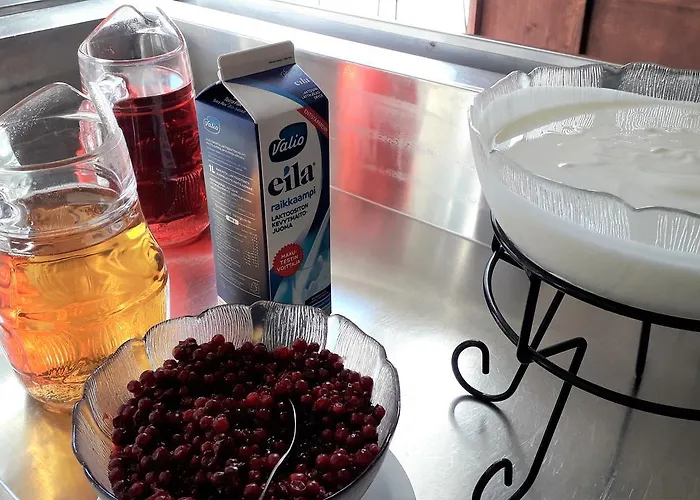 Kartanohostel Annacatharina Hostelli Savonlinna