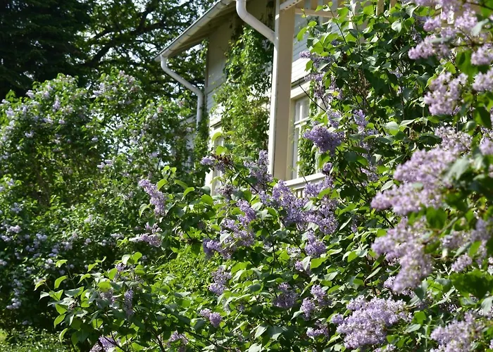 Kartanohostel Annacatharina *